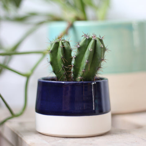 FICH Plant pots