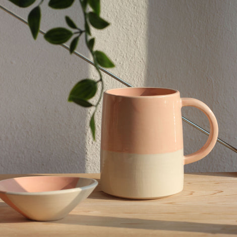 FICH mugs
